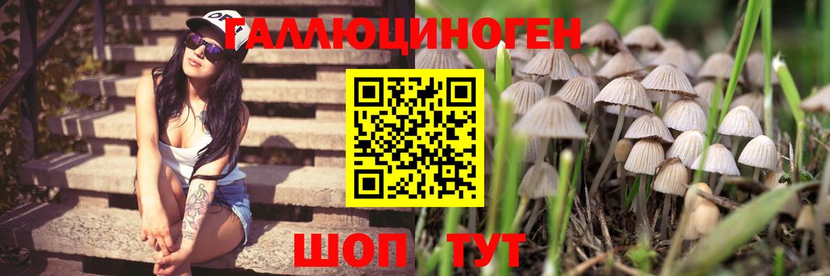 Находка  как найти закладки  Вход с VPN  Галлюциногенные грибы Magic Shrooms 